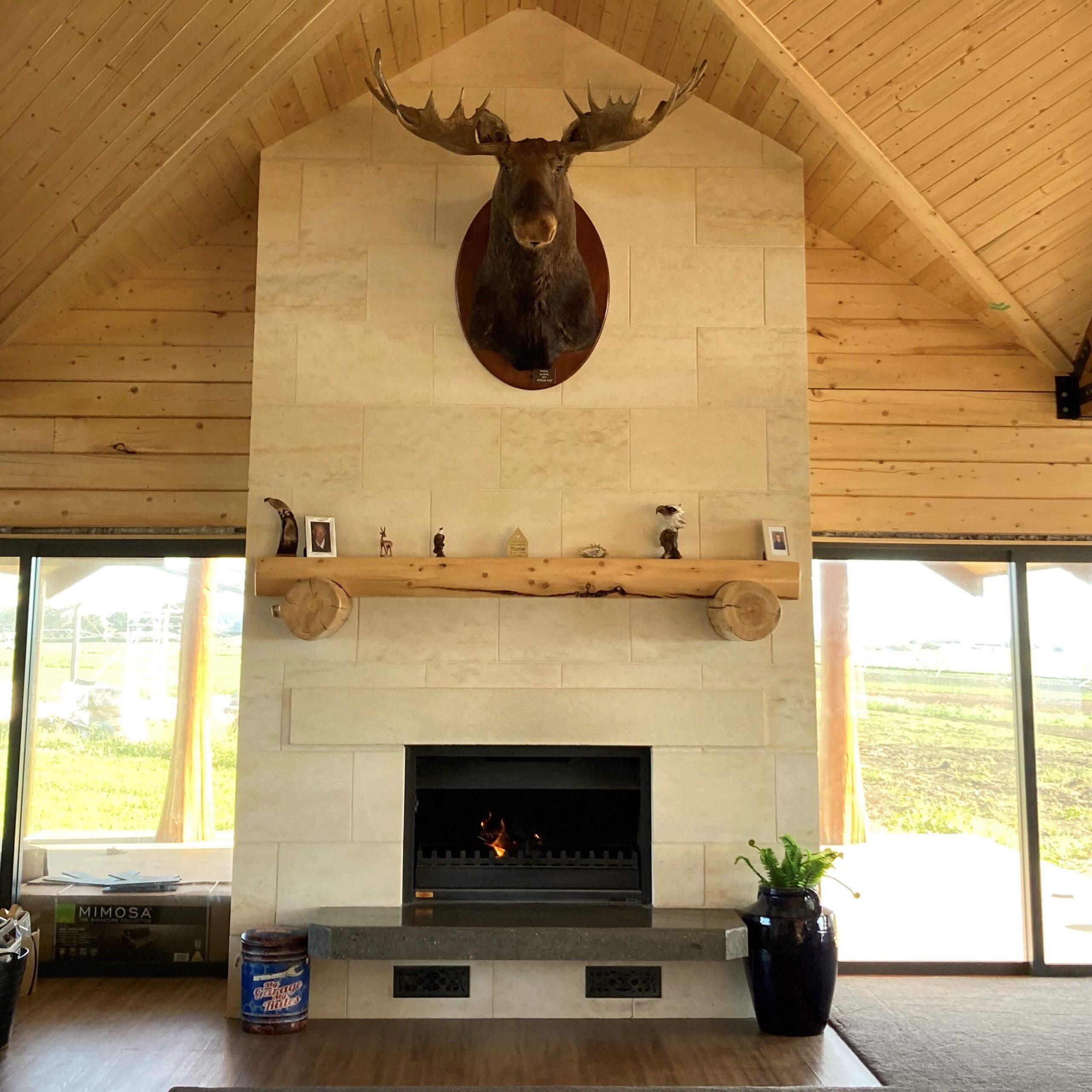 Oamaru Stone Fireplace Joyce